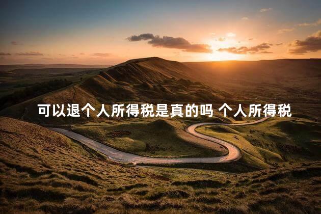 可以退个人所得税是真的吗 个人所得税app返钱真的吗